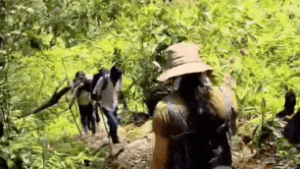 Honeymoon murder: Video from Double Decker trek captures Raja's killers; one tries to hide face