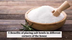 5 Benefits of placing salt bowls in different corners of the house