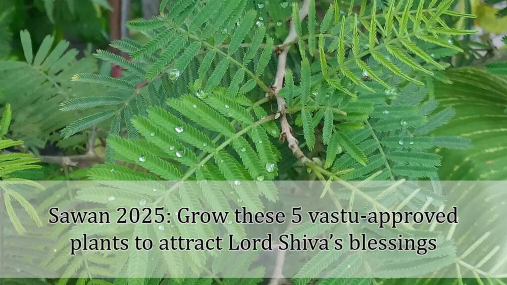 Sawan 2025: Grow these 5 vastu-approved plants to attract Lord Shiva’s blessings