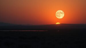 How Does the Full Moon Affect Your Zodiac Sign and Emotions?